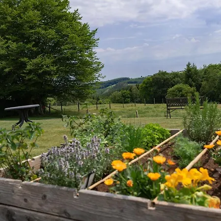 Bed and breakfast Chanteloup, - 3*