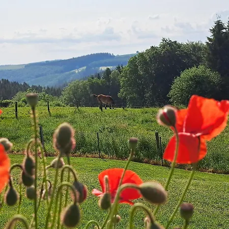 Bed and breakfast Chanteloup, - Halleux (Luxembourg)