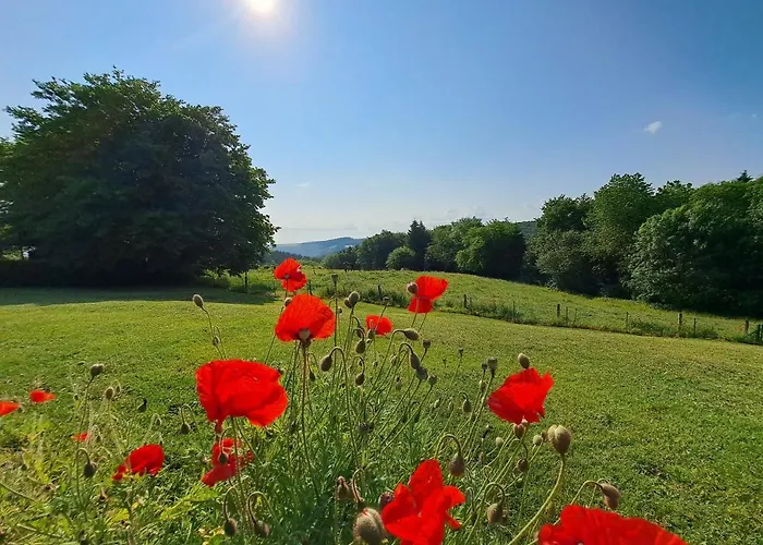Chanteloup, - Couette-café Halleux (Luxembourg)
