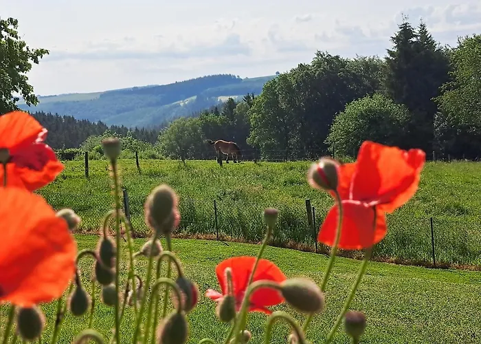 住宿加早餐酒店 Chanteloup, - Halleux (Luxembourg)